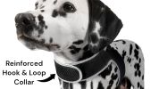 Pet Tracker Pet Locator Collar Mounted Best Dog GPS GSM Tracker Waterproof Size:L