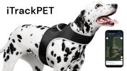 Mini GPS Dog Tracking Device GSM GPRS Pet Location Finder Portable NEW Size:L