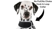 Mini GPS Dog Tracking Device GSM GPRS Pet Location Finder Portable NEW Size:L