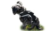 Mini GPS Dog Tracking Device GSM GPRS Pet Location Finder Portable NEW Size:L